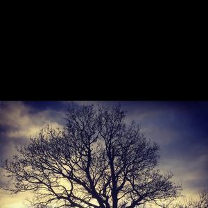 Meet your Posher, Kiara